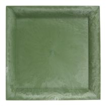 Plastic plate green square 19.5cm x 19.5cm