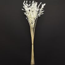 Product Dried Sea Oats Chasmantium latifolium White 70cm 10pc