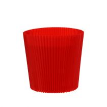 Product Pleated cuffs red 10.5cm 100 pieces