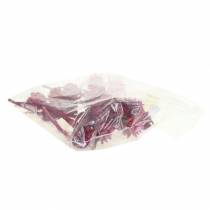 Product Plumosum 1 Erica 25 pcs