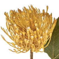 Product Protea artificial Leucospermum pincushion yellow 30cm 6 pcs