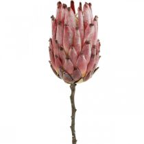 Artificial Protea Red Exotic artificial flower H55cm