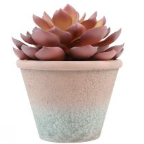 Product Succulent in pot Echeveria artificial red vintage Ø15cm H16cm