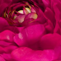 Product Artificial ranunculus as a single flower for timeless and versatile interior design, 51cm, 3 pieces
