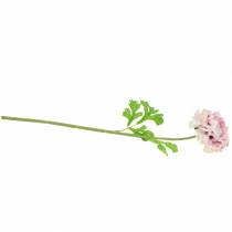 Product Ranunculus lilac H45cm