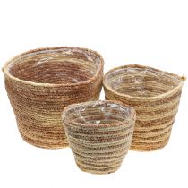 Plant basket rattan nature/brown Ø26/22/16cm 3pcs