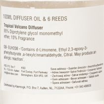 Product Room fragrance diffuser with exotic coconut and mango scent for long-lasting freshness at home, 19cm, 2 pieces