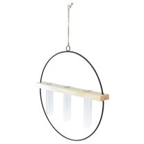 Product Test tube decorative vase, metal ring, black, hanging, modern