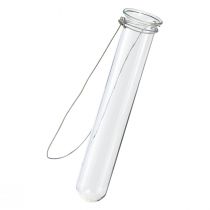Product Test tube decorative glass for hanging mini vase Ø2.4cm H22.5cm