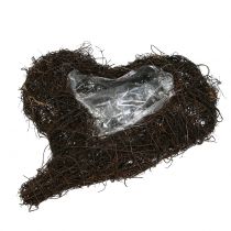 Product Vine heart for planting nature 30cm x 25cm