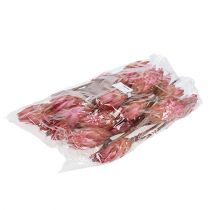 Product Repens Erika 25 pcs