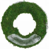 Moss wreath plant ring with vines and moss green, white Ø35cm
