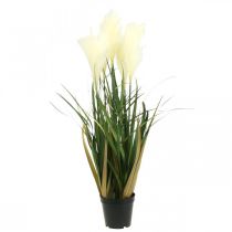 Potted Sedge Grass Artificial Potted Plant Cream, Green 79cm