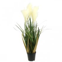 Product Reed grass in a pot Artificial potted plant Cream, Green 79cm