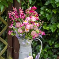 Rhodanthe pink-pink, silk flowers, artificial plant, bunch of straw flowers L46cm