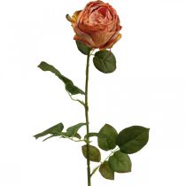 Artificial rose orange, artificial rose, decorative rose L74cm Ø7cm
