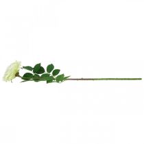 Product Artificial rose, decorative rose, silk flower cream white, green L72cm Ø12cm