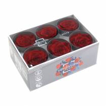 Product Infinity Roses Large Ø5.5-6cm Red 6 pcs
