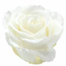 Infinity roses large Ø5.5-6cm white 6pcs