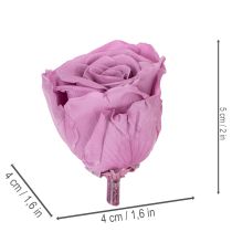 Product Preserved rose heads, romantic gift, long-lasting roses for special occasions, 5cm, 6 pieces
