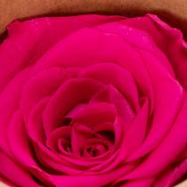 Product Preserved Rose Decorations, Real Flowers for Table Decoration, Unique and Sustainable Blooms, 5cm, 6 Pieces