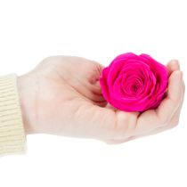 Product Preserved Rose Decorations, Real Flowers for Table Decoration, Unique and Sustainable Blooms, 5cm, 6 Pieces