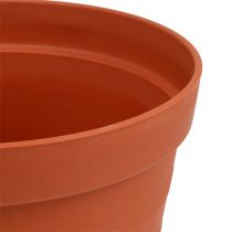 Product Rose pot plastic 19cm terracotta 1 pc
