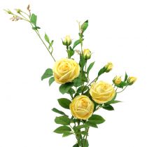 Rose branch yellow 100cm