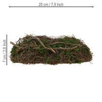 Product Round Decorative Bowl with Twigs, Moss, and Inner Liner – Ø20cm