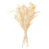 Product Dried ruscus decorative branch, bleached ruscus, 200g