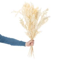 Product Dried ruscus decorative branch, bleached ruscus, 200g