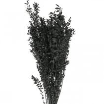 Ruscus Twigs Deco Twigs Dried Flowers Black 200g