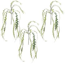 Product Saw Leaf Cactus Artificial Epiphyllum anguliger L68cm 3 pcs