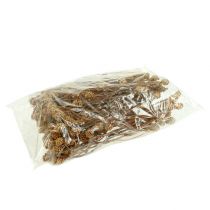 Product Salignum light 4-6 flowers on branch Leucadendron 100 pcs