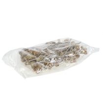 Product Salignum whitewashed proteas on a stem 25 pcs