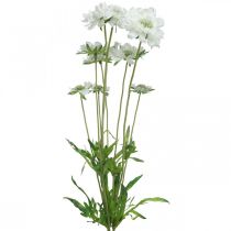 Product Scabiosa Artificial Flower White Garden Flower H64cm Bunch of 3pcs