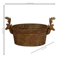 Product Decorative bowl, reindeer head, oval, rust-colored, rustic, 41cm