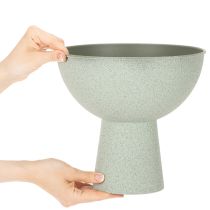 Product Bowl with stand for plants, decorative bowl, 25cm