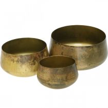 Decorative bowl brass metal bowl Ø20/16.5/12.5cm set of 3