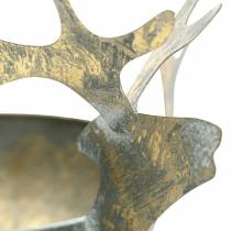 Product Bowl with reindeer head golden antique look metal Ø14cm