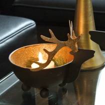 Product Bowl with Reindeer Head Black, Golden Metal Ø11/14cm Set of 2