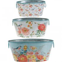 Product Plant bowls, spring, plant pot flowers/birds, metal vessel oval L39/31/24.5cm set of 3