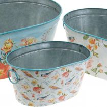Plant bowls, spring, planter flowers / birds, metal container oval L39 / 31 / 24.5cm, set of 3