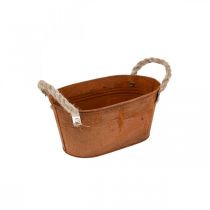 Metal bowl with handles, autumn decoration, planter with patina L22cm H11cm