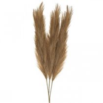 Feather Grass Brown Natural Artificial Dry Grass Reed 100cm 3pcs