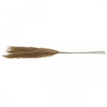 Product Feather Grass Brown Natural Artificial Dry Grass Reed 100cm 3pcs