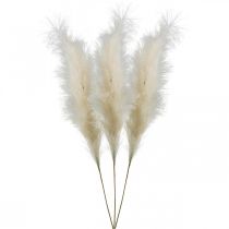 Feather Grass Cream Chinese Reed Artificial Dry Grass 100cm 3pcs