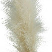 Feather Grass Cream Chinese Reed Artificial Dry Grass 100cm 3pcs