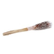 Product Reed Cob Mix Brown 100 pcs