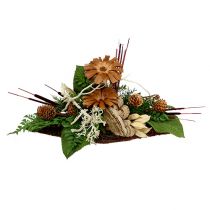 Product Reed Cob Mix Brown 100 pcs